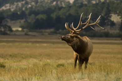 National Geographic Desktop Wallpapers HD