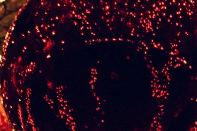 Christmas iPhone 5s Wallpapers