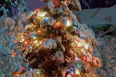 Wondershare] 30 Christmas Wallpapers For IPhones