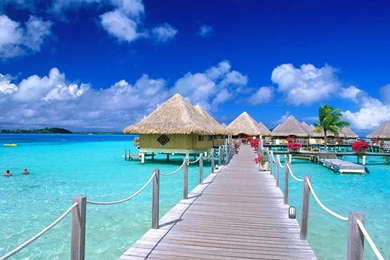 Beach hd wallpapers live wallpaper for desktop backgrounds 1024x768.jpg