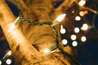 iPhone 5 Christmas Wallpapers — Shawn Blanc