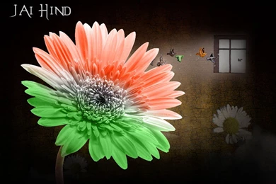 Printable Wallpapers