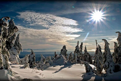 CHRISTMAS LANDSCAPE WALLPAPER