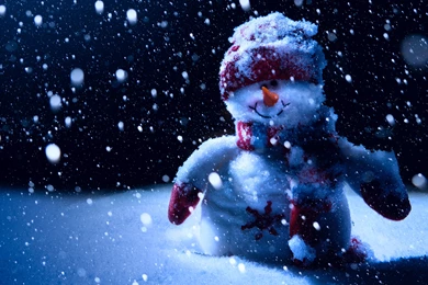 Nature snowman christmas new year  nature   Magic4Walls.com