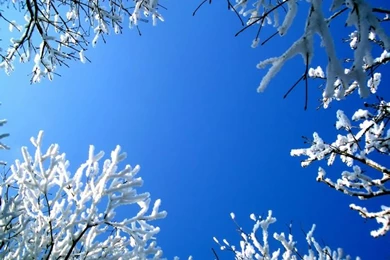 Snowy Winter Landscape & Winter Snow Photography18   Wallcoo.net