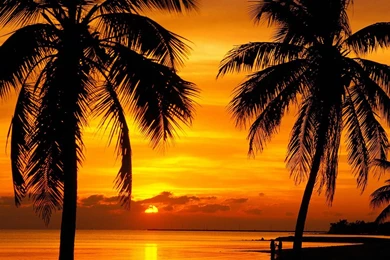 Florida Wallpapers Beach Images 1080