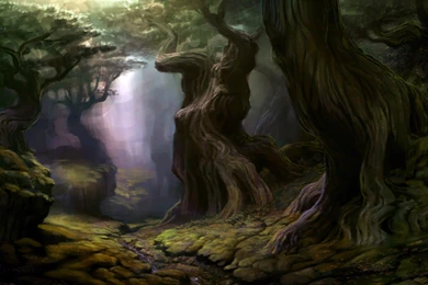 GW2 Wallpapers   Bing Images