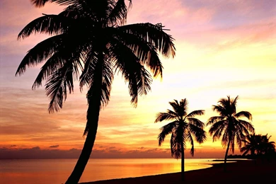 Key West Desktop Wallpapers   Wallpapers Zone