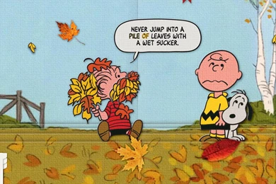 It's The Great Pumpkin Charlie Brown   Best Apps For Kids