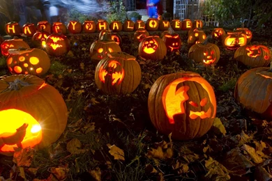 Great Pumpkin Walk: October Family Tradition Returns   This Is Reno
