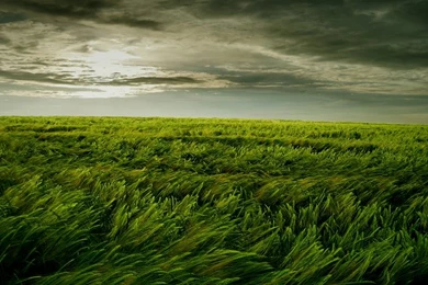 Clouds Nature Fields 1280x800 Wallpapers – Nature Fields HD Desktop ...