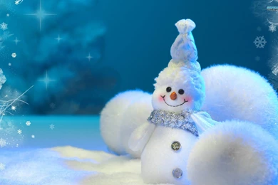 Fantastic Snowman Wallpapers   HD Wallpapers