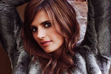 Stana Katic, Desktop Wallpapers