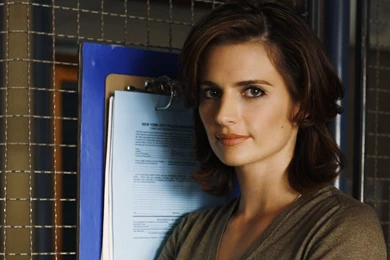 Free Stana Katic Wallpapers