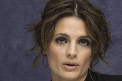 Stana Katic Wallpapers 2046 1378606331