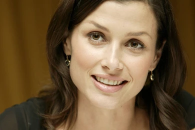 Wallpapers Menu: Bridget Moynahan Wallpapers