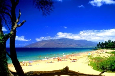 Maui Beach Scene Desktop Wallpapers