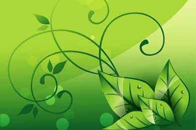 Graphic Design Backgrounds Textures