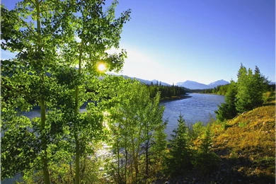 Natural Scenery Backgrounds