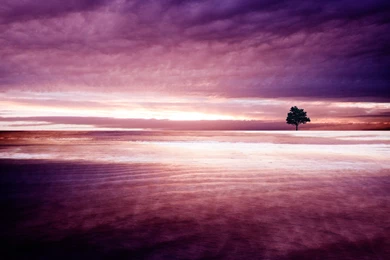 Nature Backgrounds WALI21