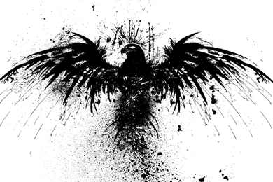 Black White Wallpapers 1920x1200 Black, White, Birds, Original ...