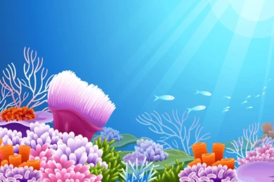 Download Sea Life Wallpapers Wide