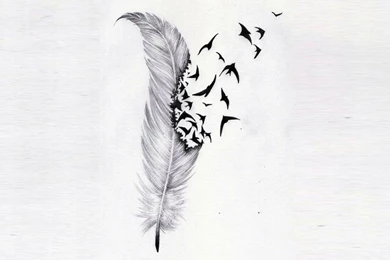 Free Designs Feather And Birds Flock Wallpapers 1280x960 Bird ...