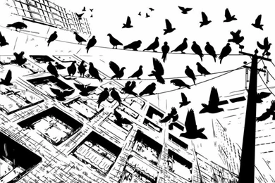 Buy Black And White Wallpapers Pattern And Black Wallpapers For Home ...