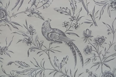 Scalamandre Aviary Wallpapers Bird Chinioserie Grey White Singl $40 ...