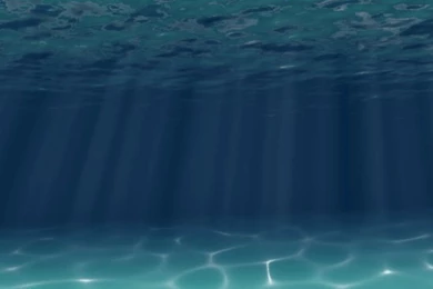 11 Amazing Android Live Wallpapers For Summer