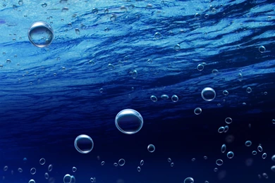 Under The Sea Wallpapers