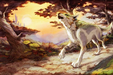 25 The Legend Of Zelda: Twilight Princess HD Wallpapers ...