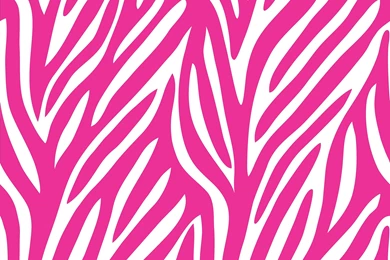 Hot Pink And Black Zebra Backgrounds   Danasrhp.top