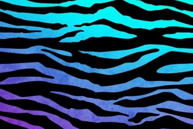 Zebra Print Wallpapers For Bedrooms   Bedrooms Decor Ideas