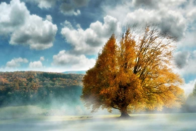 Nature Backgrounds, View, Amazing Landscape, Wallpapers Of Nature ...