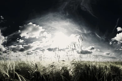 Buenos Wallpapers De Naturaleza, Abstractos Y Otros!   Taringa!