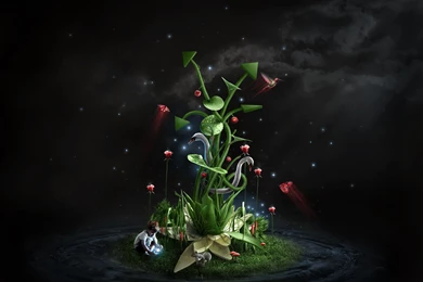 Free Digital Photos   Desktop Backgrounds