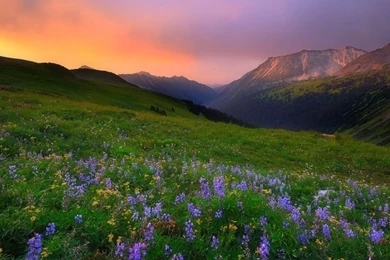 960x800 Hot Wallpapers For Phone Download   31   960x800   Hot ...