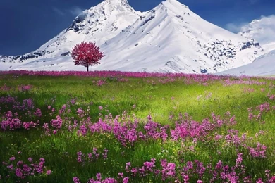 960x800 Hot Wallpapers For Phone Download   31   960x800   Hot ...