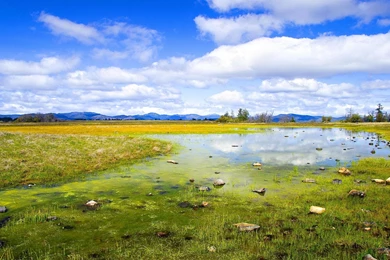 Landscape Wallpapers Amazing Wallpapers F8T HD Wallpapers Desktop ...