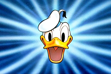 13 Quality Donald Duck Wallpapers, Cartoons