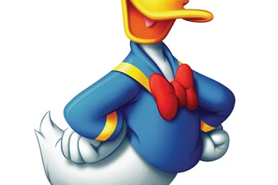 Donald Duck   Free Large Images