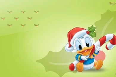 Baby Donald Duck   Wallpaper.