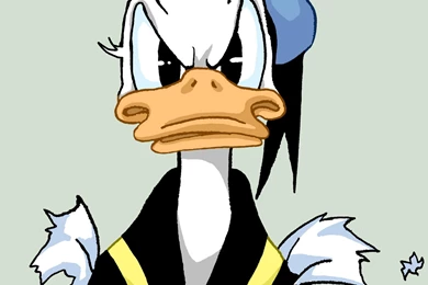 Donald Duck Angry   Wallpaper.