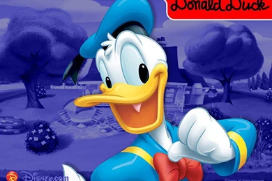 Donald Duck   Disney Wallpapers (7978737)   Fanpop