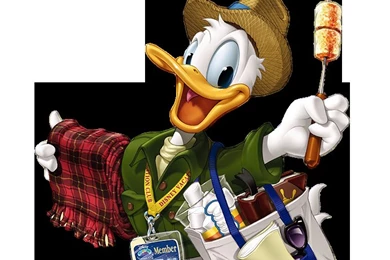 Cheerleaders And Sport Girls: Donald Duck Wallpapers