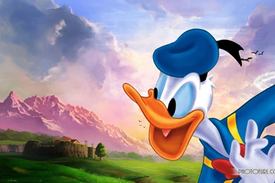 The Pictures For   > Donald Duck Wallpapers For Desktop