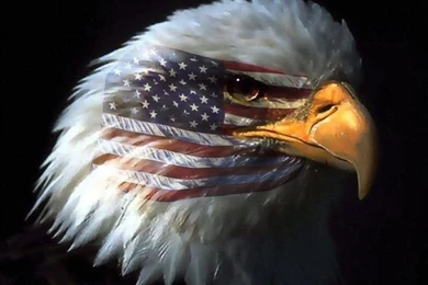 iPhone Backgrounds On Pinterest