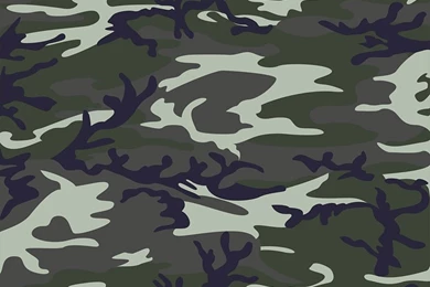Download Backgrounds   Army Camouflage   Free Cool Backgrounds And ...