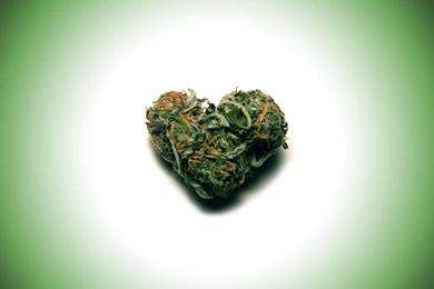 Miscellaneous: Weed Love, Picture Nr. 54314